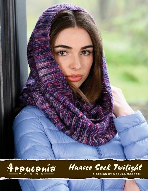 Araucania Huasco Sock Twilight Paints - Esta Cowl Pattern
