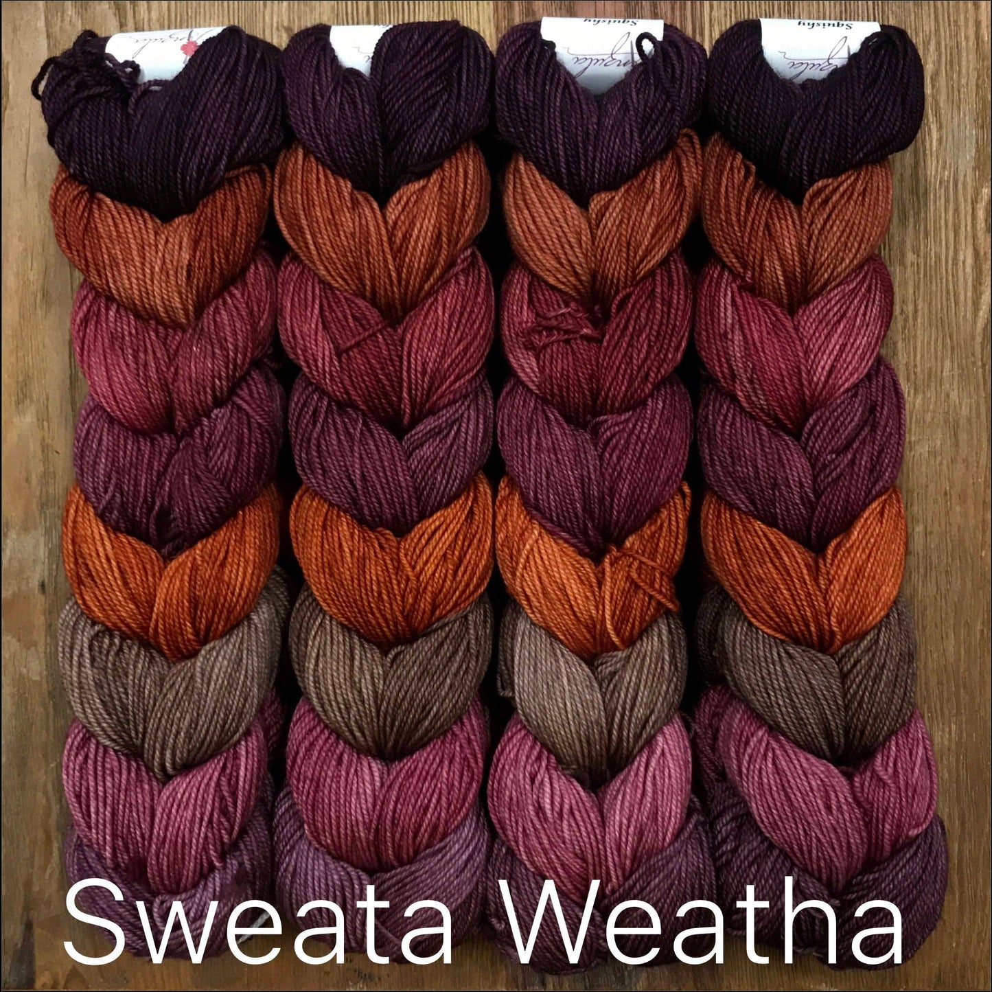 Anzula - Squishy Skeinette Chains Yarn