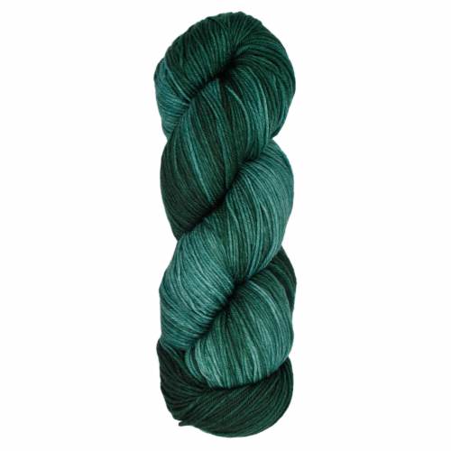 Araucania - Huasco Sock Kettle Dyes Yarn