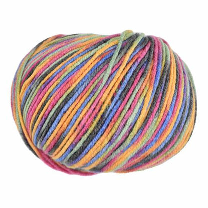 Ella Rae - Cashmereno Sport Taffy Yarn